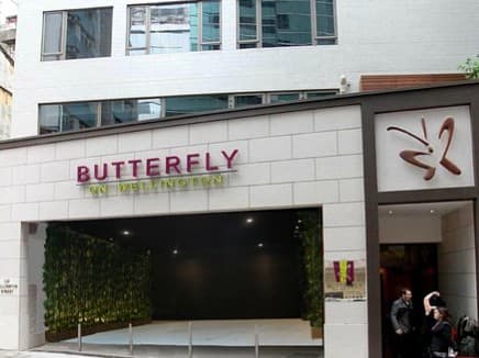 Butterfly On Wellington